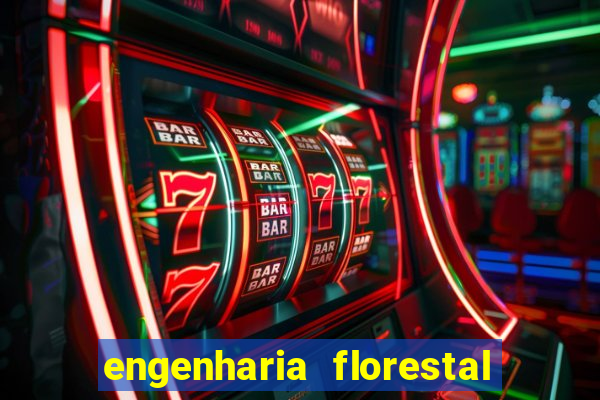 engenharia florestal ead cruzeiro do sul